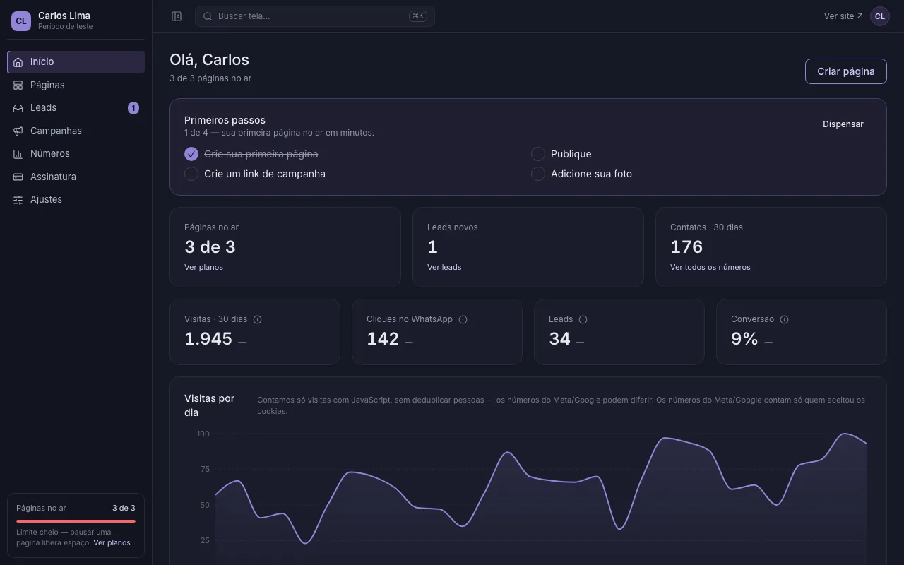 O início do painel com as páginas no ar, os leads recentes e os números do mês